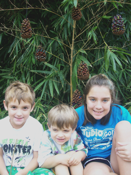 decorated hanging pinecones - homeschool