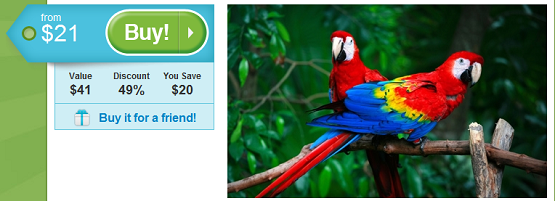 Moody Gardens Galveston Half Off Groupon Houston Area Deals