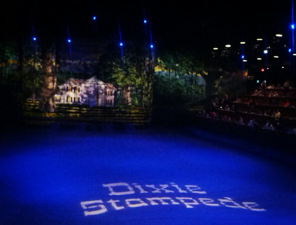 Dixie Stampede Pigeon Forge Attraction