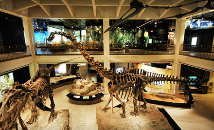Houston Museum of Natural Science Groupon
