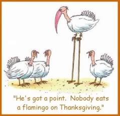 Turkey Humor