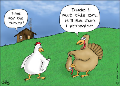 Turkey Humor