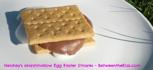 Hershey's Marshmallow Eggs Easter Smore's Recipe - BetweentheKids.com