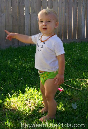 Little Monsters One Size Pocket Diaper Review