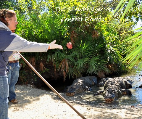 Gatorland Orlando