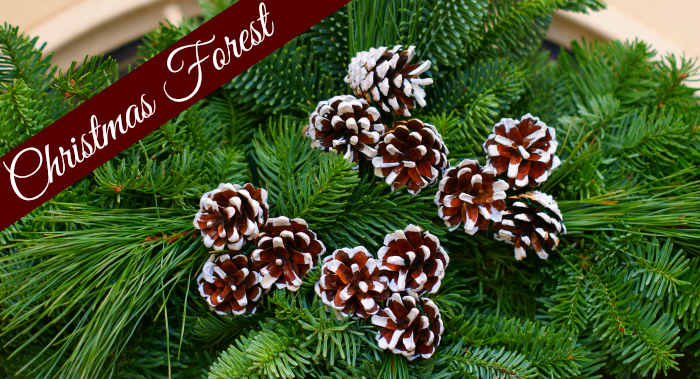 Christmas Forest Live Wreath - Christmas Cross