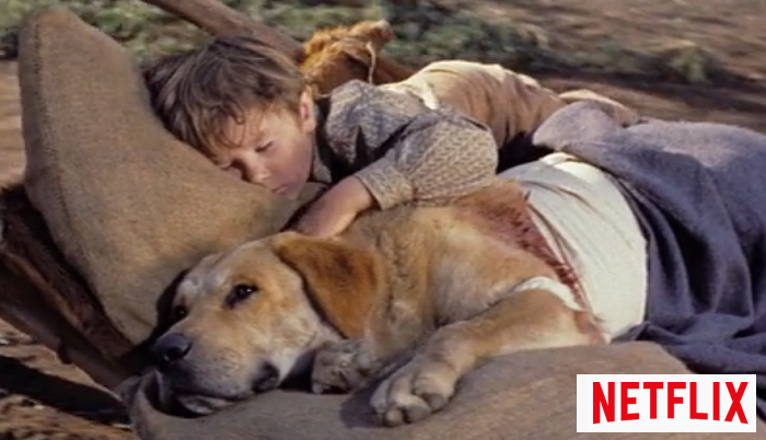 Disney Old Yeller on Netflix